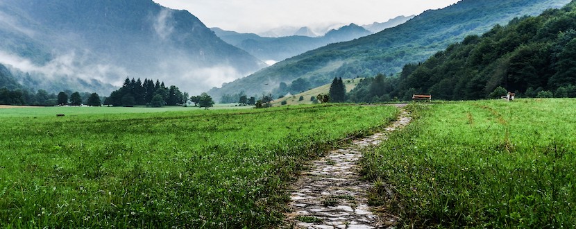 Travel-Header.jpeg